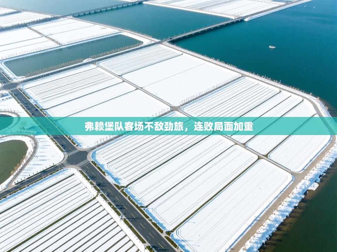 开云直播-弗赖堡队客场不敌劲旅,连败局面加重 第2张