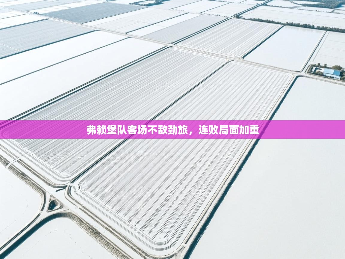 开云直播-弗赖堡队客场不敌劲旅,连败局面加重 第3张